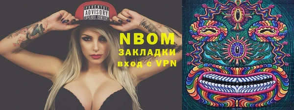 прущие грибы Саяногорск