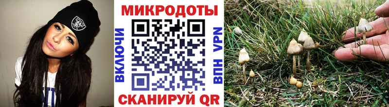Псилоцибиновые грибы мицелий  Верхняя Пышма 